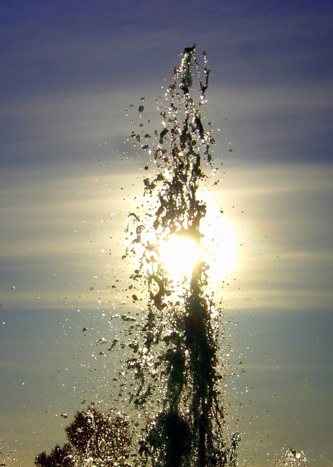 Over domme gebruikers en verkeerde verwachtingen