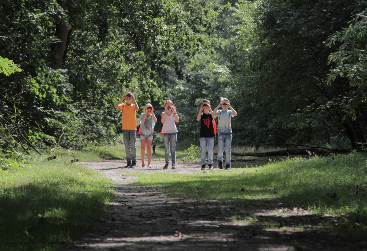 Beleidsdocument Actualisatie Ommer Motief