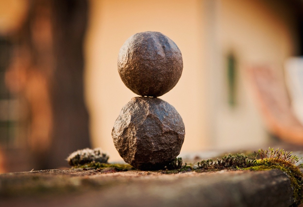 Bestickering pui  BiaSense